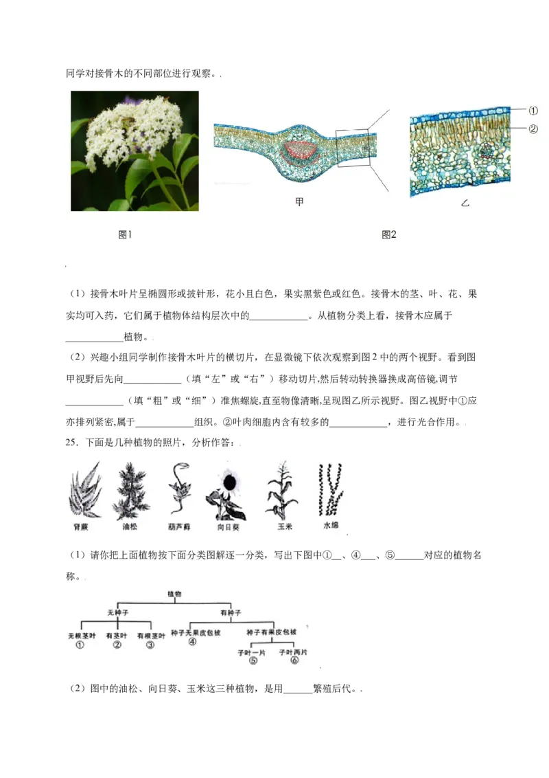 第3单元（第1章）生物圈中有哪些绿色植物（选拔卷）（人教版）（原卷版）_初中全科电子版试卷练习试题_生物_生物人教版7上练习&mdash;24新版已更新_人教生物7年级上单元试卷36份
