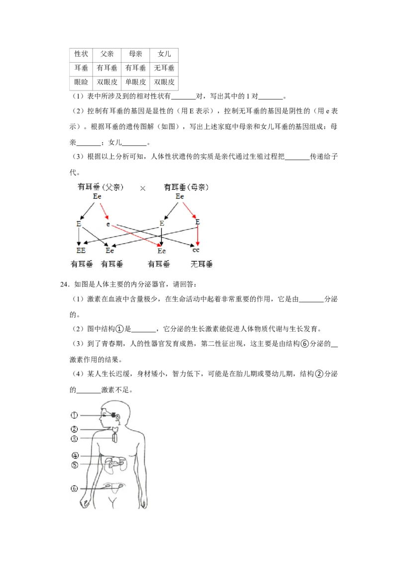 2015年上海市中考生物真题（空白卷）_0122026上海中考一模二模真题试卷_2026年上海一模_上海1500初中高中试卷_初中_上海市历年中考真题_上海市历年中考真题_生物历年中考真题