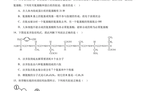 吉林油田高级中学2025-2026学年高一上学期期初考试生物Word版含答案_2025年11月高一试卷_251119吉林油田高级中学2025-2026学年高一上学期期初考试