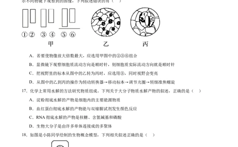 吉林油田高级中学2025-2026学年高一上学期期初考试生物Word版含答案_2025年11月高一试卷_251119吉林油田高级中学2025-2026学年高一上学期期初考试