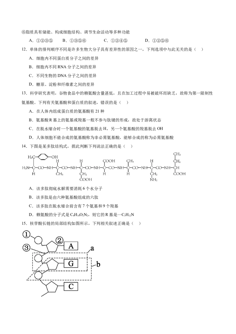 吉林油田高级中学2025-2026学年高一上学期期初考试生物Word版含答案_2025年11月高一试卷_251119吉林油田高级中学2025-2026学年高一上学期期初考试