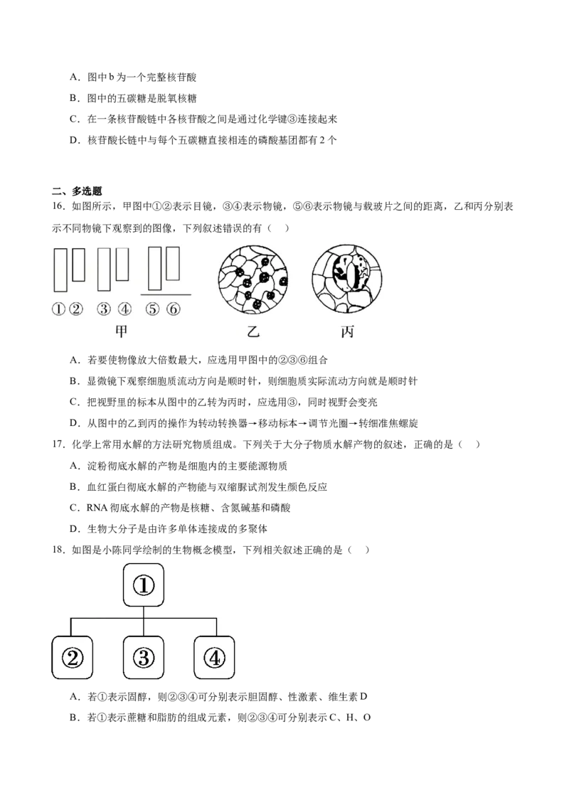吉林油田高级中学2025-2026学年高一上学期期初考试生物Word版含答案_2025年11月高一试卷_251119吉林油田高级中学2025-2026学年高一上学期期初考试
