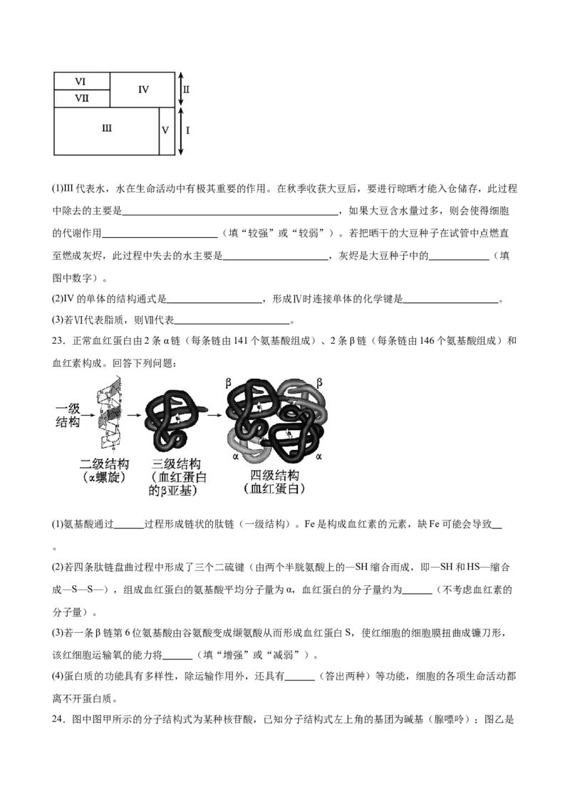 吉林油田高级中学2025-2026学年高一上学期期初考试生物Word版含答案_2025年11月高一试卷_251119吉林油田高级中学2025-2026学年高一上学期期初考试