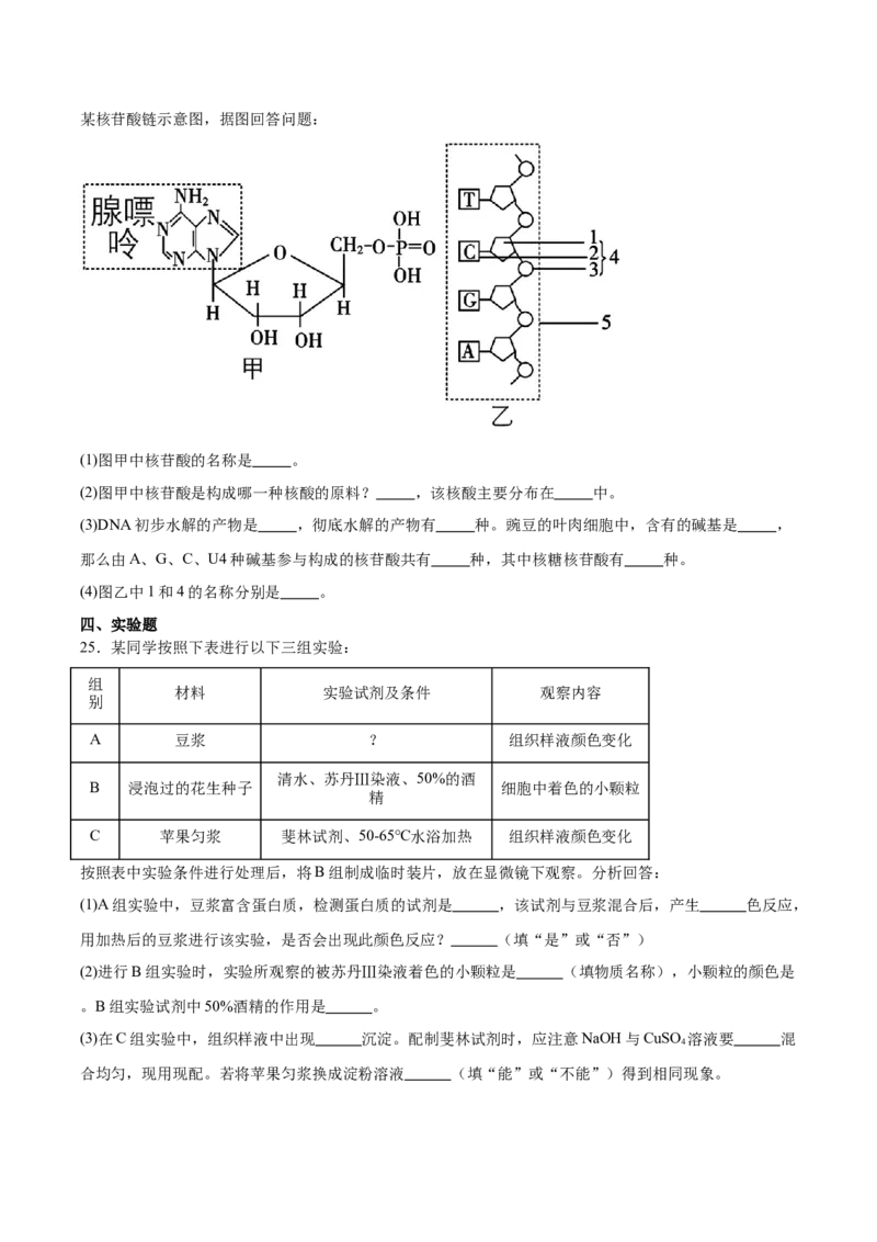 吉林油田高级中学2025-2026学年高一上学期期初考试生物Word版含答案_2025年11月高一试卷_251119吉林油田高级中学2025-2026学年高一上学期期初考试