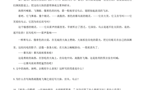 第4课《海燕》（分层练习）-九年级语文下册原卷版_初中全科电子版试卷练习试题_语文_9下初中部编版语文练习、试卷_部编语文九年级下课时练习（072份）