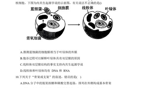 内蒙古赤峰第四中学2025-2026学年高一上学期12月期中生物试题_2025年12月高一试卷_251217内蒙古自治区赤峰第四中学2025-2026学年高一上学期12月月考