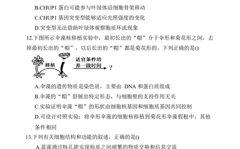 内蒙古赤峰第四中学2025-2026学年高一上学期12月期中生物试题_2025年12月高一试卷_251217内蒙古自治区赤峰第四中学2025-2026学年高一上学期12月月考