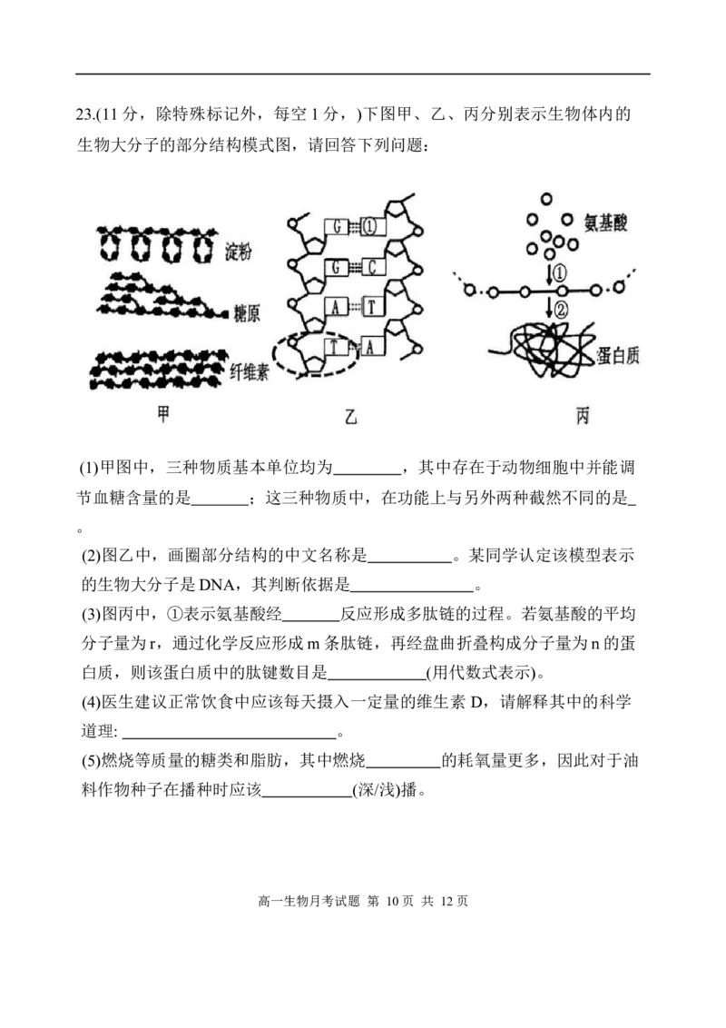 内蒙古赤峰第四中学2025-2026学年高一上学期12月期中生物试题_2025年12月高一试卷_251217内蒙古自治区赤峰第四中学2025-2026学年高一上学期12月月考