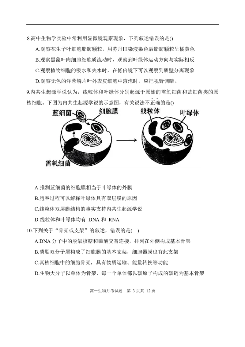 内蒙古赤峰第四中学2025-2026学年高一上学期12月期中生物试题_2025年12月高一试卷_251217内蒙古自治区赤峰第四中学2025-2026学年高一上学期12月月考
