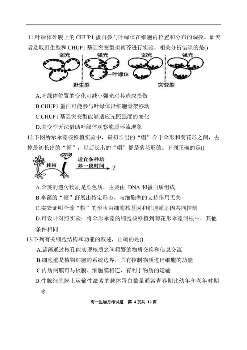 内蒙古赤峰第四中学2025-2026学年高一上学期12月期中生物试题_2025年12月高一试卷_251217内蒙古自治区赤峰第四中学2025-2026学年高一上学期12月月考