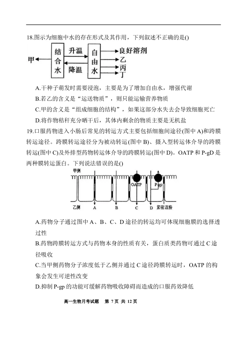 内蒙古赤峰第四中学2025-2026学年高一上学期12月期中生物试题_2025年12月高一试卷_251217内蒙古自治区赤峰第四中学2025-2026学年高一上学期12月月考
