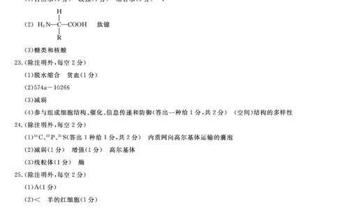 参考答案_2024年11月试卷_1117吉林省四平市普通高中2024-2025学年高一上学期期中考试_吉林省四平市普通高中2024-2025学年高一上学期期中教学质量检测试题生物Word版含答案