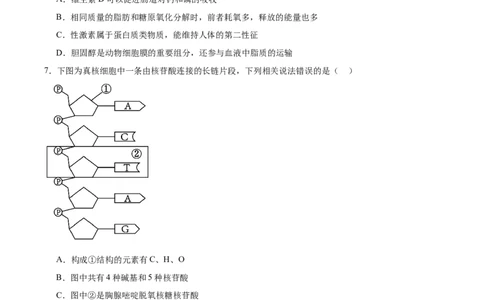 吉林省友好学校第八十届2025-2026学年高一上学期1月期末联考生物试卷（含答案）_2026年02月高一试卷_260201吉林省友好学校第八十届2025-2026学年高一上学期1月期末联考