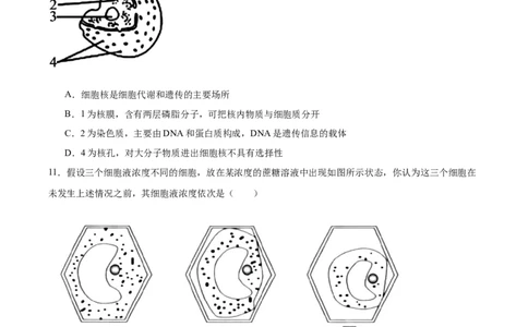 吉林省友好学校第八十届2025-2026学年高一上学期1月期末联考生物试卷（含答案）_2026年02月高一试卷_260201吉林省友好学校第八十届2025-2026学年高一上学期1月期末联考