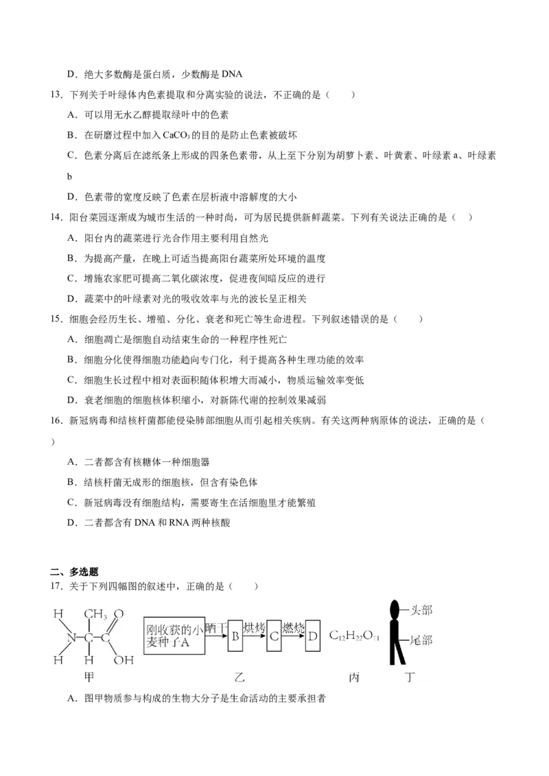 吉林省友好学校第八十届2025-2026学年高一上学期1月期末联考生物试卷（含答案）_2026年02月高一试卷_260201吉林省友好学校第八十届2025-2026学年高一上学期1月期末联考