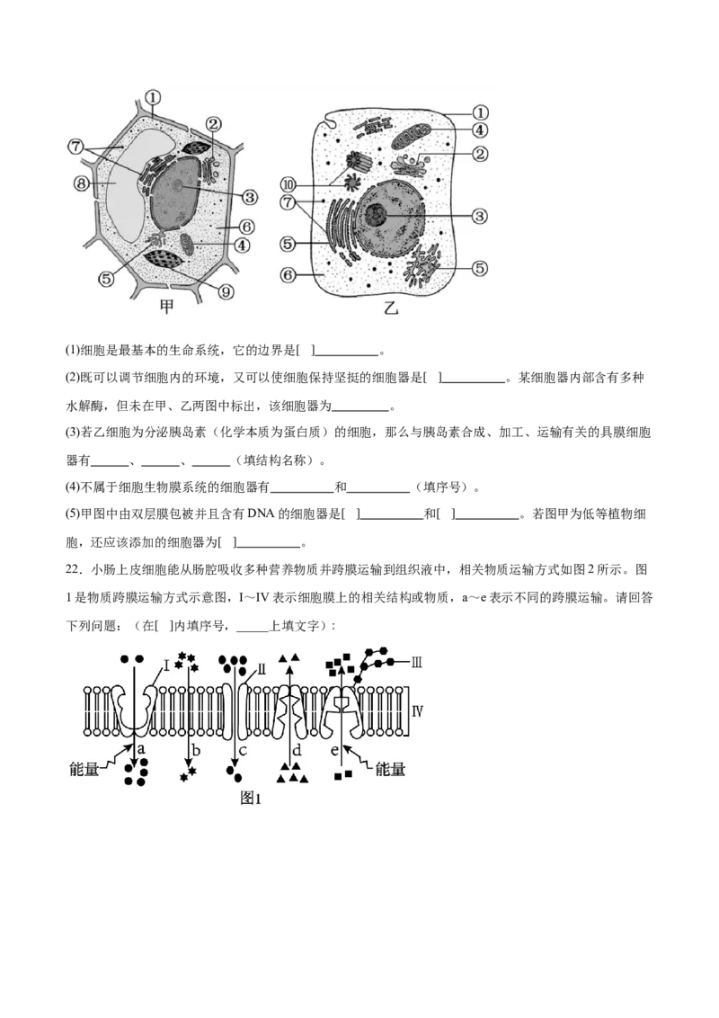 吉林省友好学校第八十届2025-2026学年高一上学期1月期末联考生物试卷（含答案）_2026年02月高一试卷_260201吉林省友好学校第八十届2025-2026学年高一上学期1月期末联考