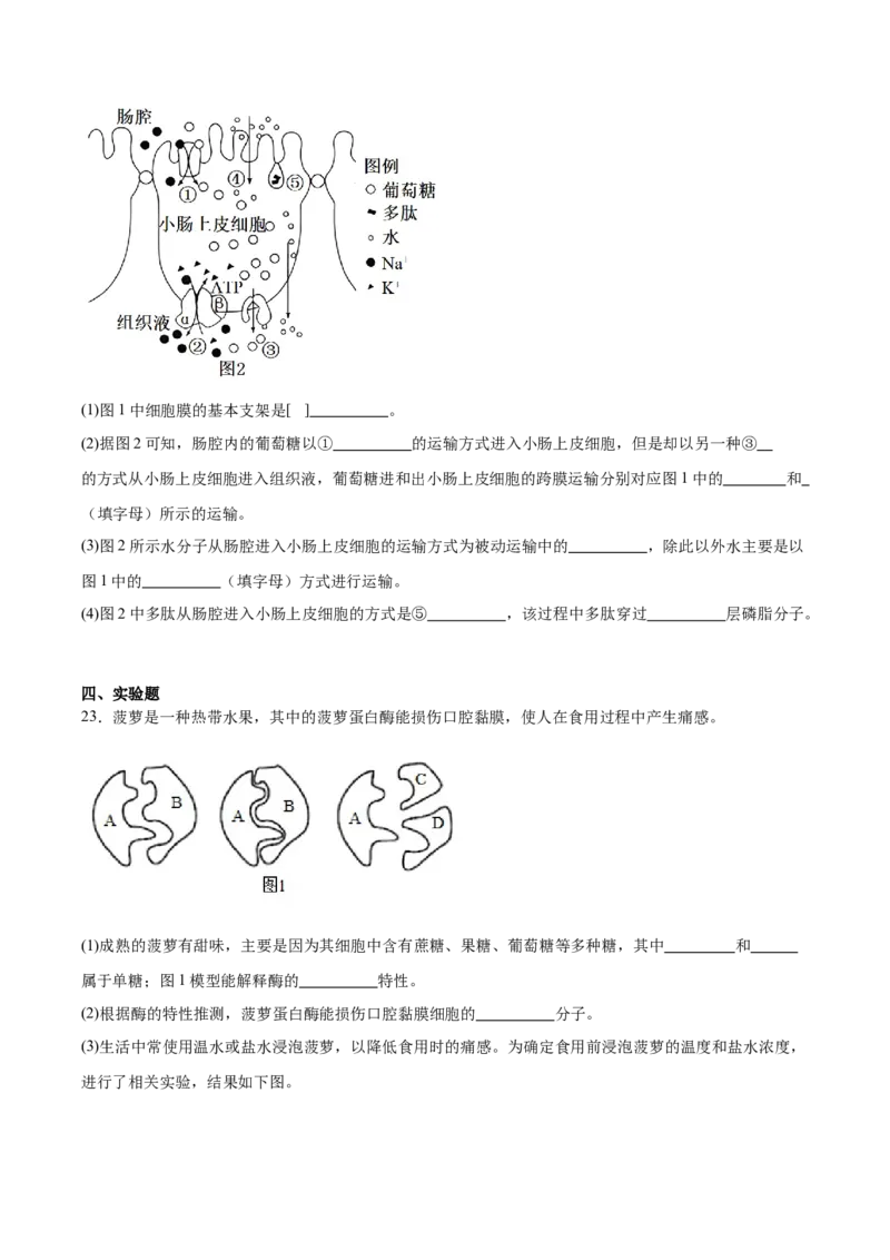吉林省友好学校第八十届2025-2026学年高一上学期1月期末联考生物试卷（含答案）_2026年02月高一试卷_260201吉林省友好学校第八十届2025-2026学年高一上学期1月期末联考
