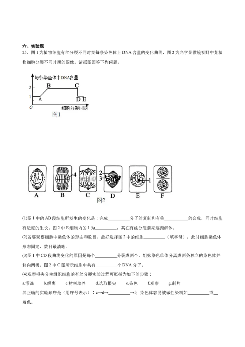 吉林省友好学校第八十届2025-2026学年高一上学期1月期末联考生物试卷（含答案）_2026年02月高一试卷_260201吉林省友好学校第八十届2025-2026学年高一上学期1月期末联考