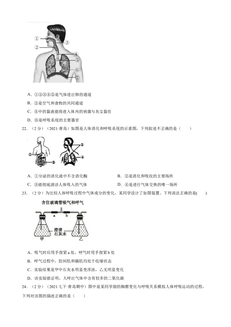 第3章人体的呼吸（人教版）(原卷版）_初中全科电子版试卷练习试题_生物_生物人教版7下练习_人教生物7年级下单元试卷33份_第2套七年级生物下册单元试卷（人教版）07份