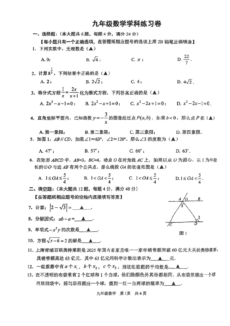 2026届青浦区初三二模数学试卷_0122026上海中考一模二模真题试卷_2026上海二模更新中1_杨浦