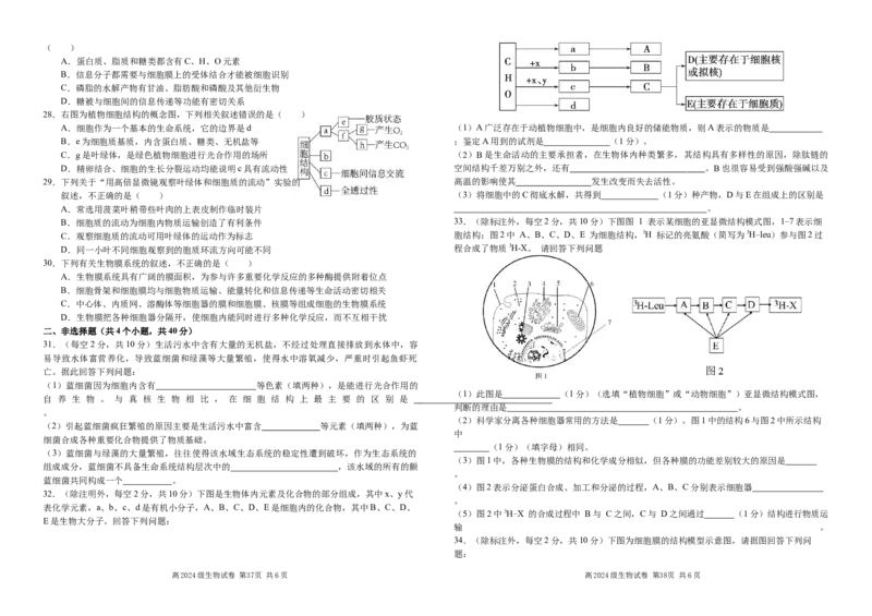 四川省南充高级中学2024-2025高一上学期期中考试生物试题_2024年11月试卷_1123四川省南充高级中学2024-2025学年高一上学期期中考试