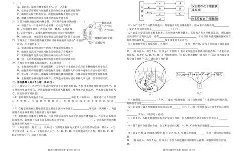 四川省南充高级中学2024-2025高一上学期期中考试生物试题_2024年11月试卷_1123四川省南充高级中学2024-2025学年高一上学期期中考试
