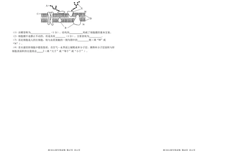 四川省南充高级中学2024-2025高一上学期期中考试生物试题_2024年11月试卷_1123四川省南充高级中学2024-2025学年高一上学期期中考试