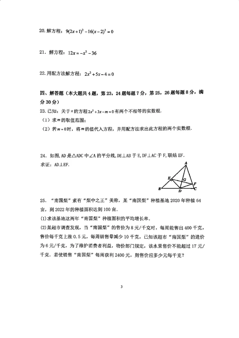 上海市徐汇区上海师范大学附属第三实验学校2023-2024学年八年级上学期期中数学试卷_0122026上海中考一模二模真题试卷_2026年上海一模_上海1500初中高中试卷_初中_八年级_上学期_2：期中