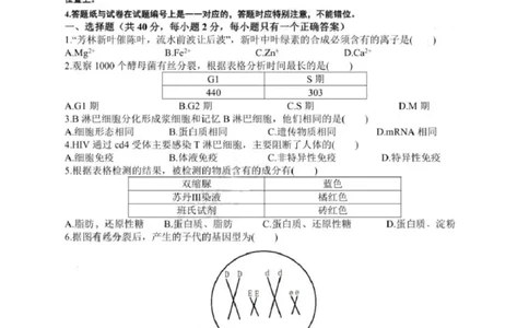 2020年上海市高考生物试题_0122026上海中考一模二模真题试卷_2026年上海一模_上海1500初中高中试卷_高中_高考真题_6.上海高考生物2023-2014
