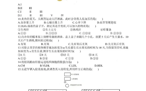 2020年上海市高考生物试题_0122026上海中考一模二模真题试卷_2026年上海一模_上海1500初中高中试卷_高中_高考真题_6.上海高考生物2023-2014
