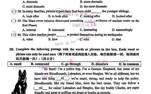 2026上海中考一模英语卷徐汇区答案（探讨版）_0122026上海中考一模二模真题试卷_2026年上海一模_上海1500初中高中试卷_徐汇区