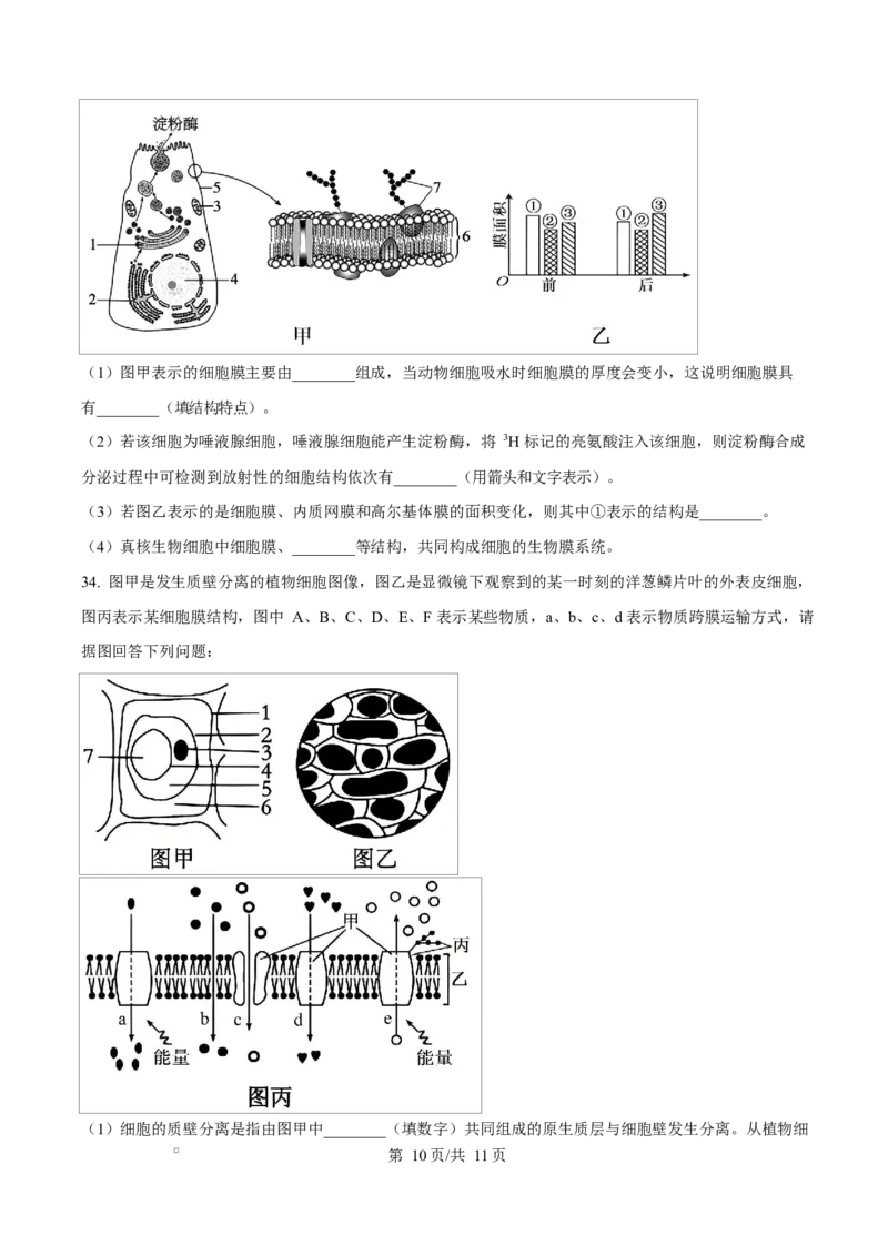 四川省成都外国语学校2025-2026学年高一上学期12月月考生物试题（原卷版）_2026年01月高一试卷_260112四川省成都外国语学校2025-2026学年高一上学期12月月考（全）