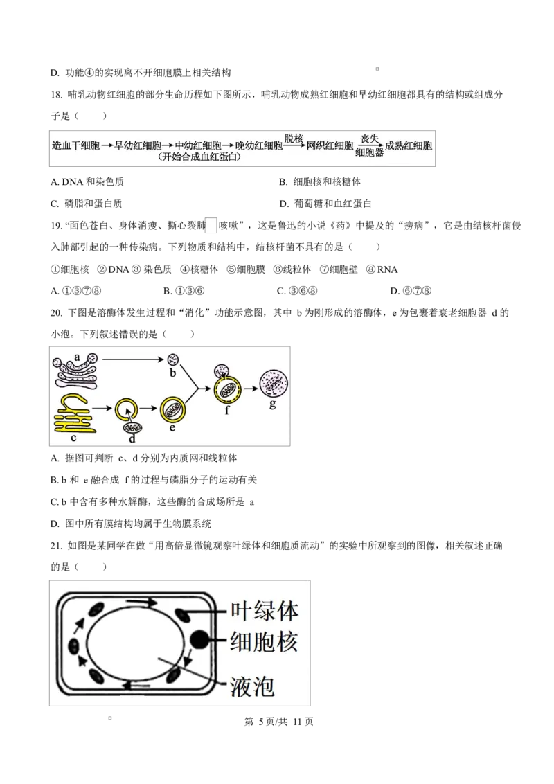 四川省成都外国语学校2025-2026学年高一上学期12月月考生物试题（原卷版）_2026年01月高一试卷_260112四川省成都外国语学校2025-2026学年高一上学期12月月考（全）