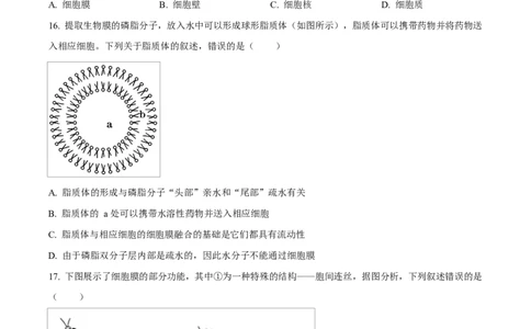 四川省成都外国语学校2025-2026学年高一上学期12月月考生物试题（原卷版）_2026年01月高一试卷_260112四川省成都外国语学校2025-2026学年高一上学期12月月考（全）