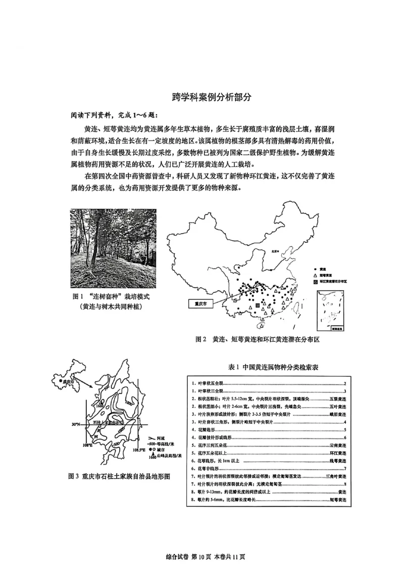 2026上海普陀初三一模跨学科试卷（原卷）_0122026上海中考一模二模真题试卷_2026年上海一模_上海1500初中高中试卷_普陀区