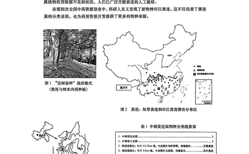 2026上海普陀初三一模跨学科试卷（原卷）_0122026上海中考一模二模真题试卷_2026年上海一模_上海1500初中高中试卷_普陀区