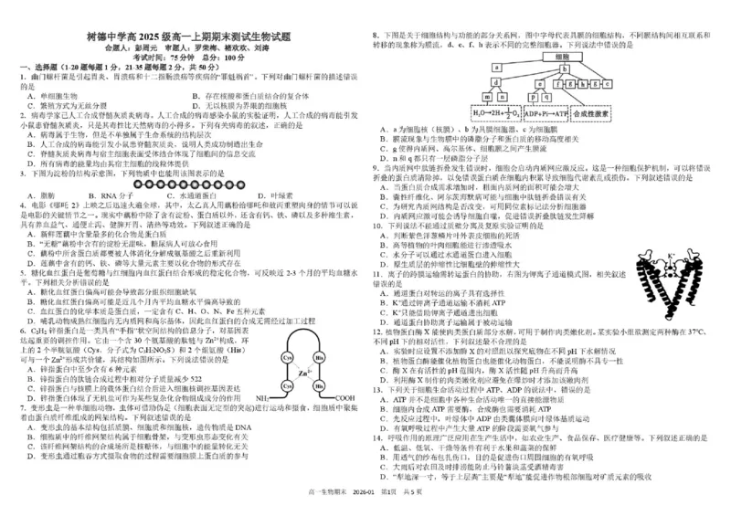 四川省成都市树德中学2025-2026学年高一上学期1月期末生物试题含答案_2026年02月高一试卷_260205四川省成都市树德中学2025-2026学年高一上学期期末（全）