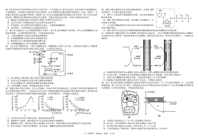四川省成都市树德中学2025-2026学年高一上学期1月期末生物试题含答案_2026年02月高一试卷_260205四川省成都市树德中学2025-2026学年高一上学期期末（全）