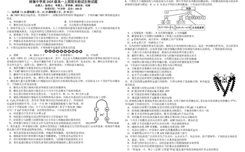 四川省成都市树德中学2025-2026学年高一上学期1月期末生物试题含答案_2026年02月高一试卷_260205四川省成都市树德中学2025-2026学年高一上学期期末（全）