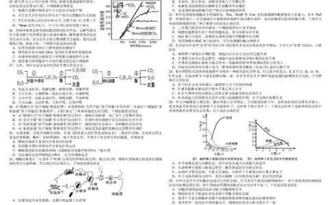 四川省成都市树德中学2025-2026学年高一上学期1月期末生物试题含答案_2026年02月高一试卷_260205四川省成都市树德中学2025-2026学年高一上学期期末（全）