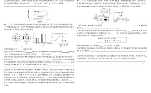 四川省成都市树德中学2025-2026学年高一上学期1月期末生物试题含答案_2026年02月高一试卷_260205四川省成都市树德中学2025-2026学年高一上学期期末（全）