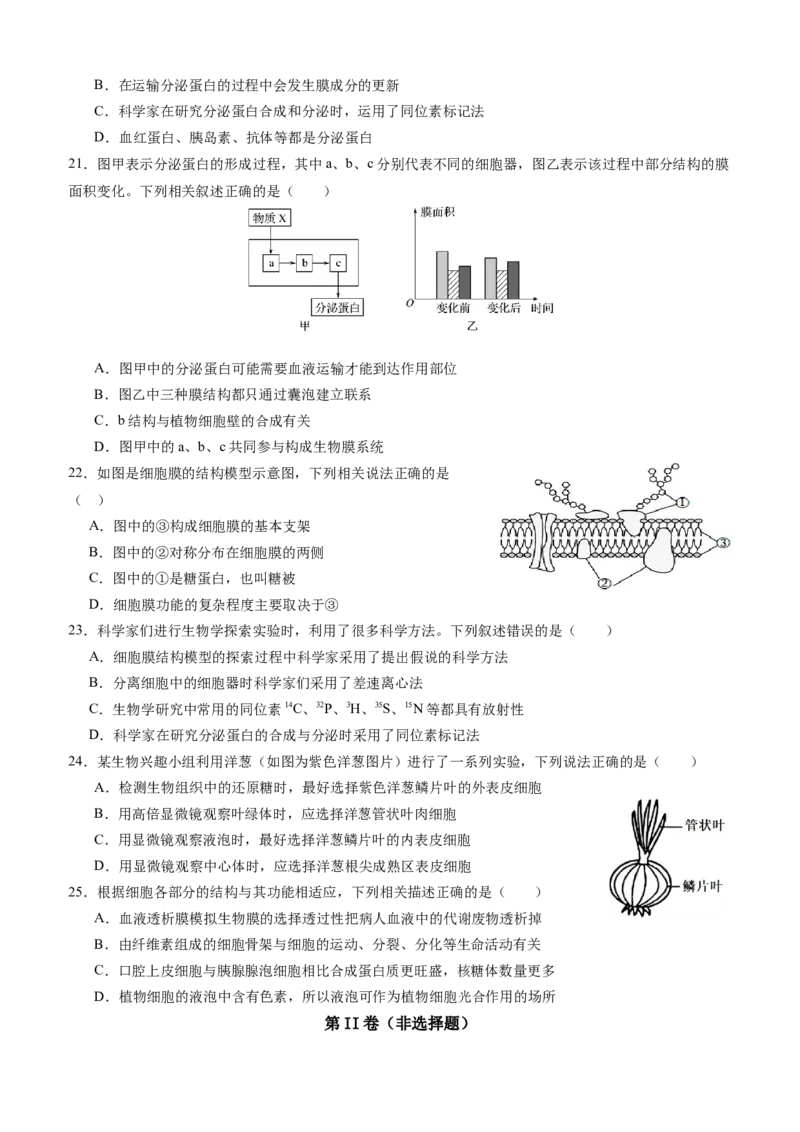四川省内江市威远中学校2025-2026学年高一上学期12月月考生物试题（含答案）_2025年12月高一试卷_251216四川省内江市威远中学校2025-2026学年高一上学期12月月考（全）