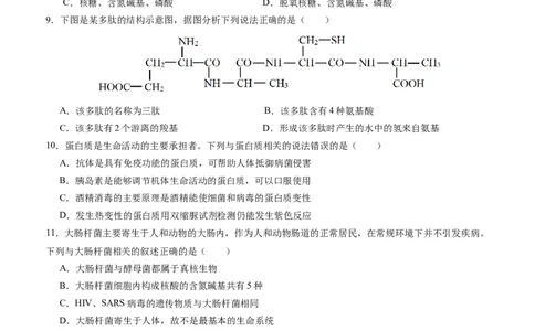 四川省内江市威远中学校2025-2026学年高一上学期12月月考生物试题（含答案）_2025年12月高一试卷_251216四川省内江市威远中学校2025-2026学年高一上学期12月月考（全）
