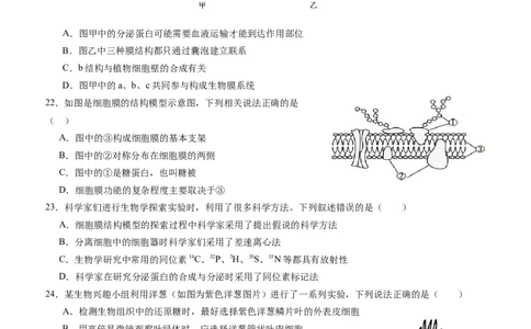 四川省内江市威远中学校2025-2026学年高一上学期12月月考生物试题（含答案）_2025年12月高一试卷_251216四川省内江市威远中学校2025-2026学年高一上学期12月月考（全）