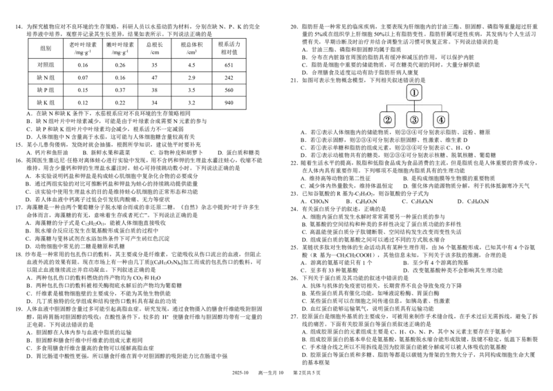 四川省成都市树德中学2025-2026学年高一上学期10月月考试题生物PDF版含答案（可编辑）_2025年10月高一试卷_251017四川省成都市树德中学2025-2026学年高一上学期10月月考试题