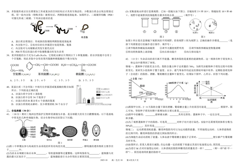 四川省成都市树德中学2025-2026学年高一上学期10月月考试题生物PDF版含答案（可编辑）_2025年10月高一试卷_251017四川省成都市树德中学2025-2026学年高一上学期10月月考试题