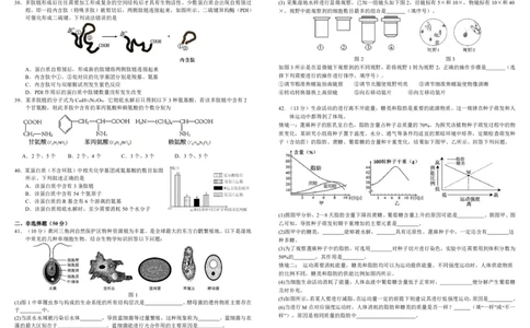 四川省成都市树德中学2025-2026学年高一上学期10月月考试题生物PDF版含答案（可编辑）_2025年10月高一试卷_251017四川省成都市树德中学2025-2026学年高一上学期10月月考试题