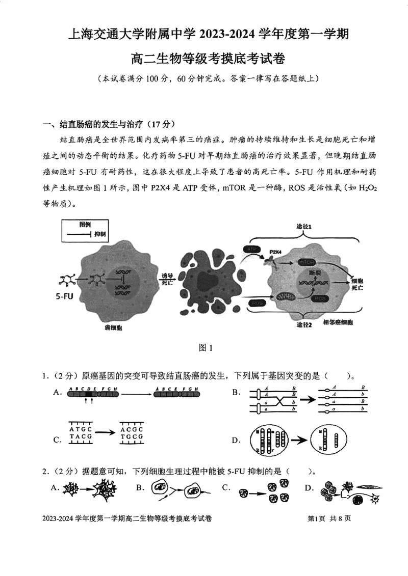 上海市某校2023-2024学年高二上学期摸底考试生物试题_0122026上海中考一模二模真题试卷_2026年上海一模_上海1500初中高中试卷_高中_高二_上学期_1：月考