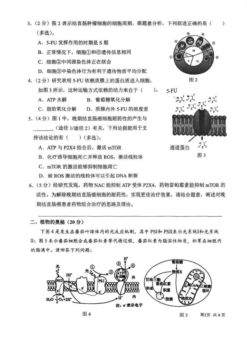上海市某校2023-2024学年高二上学期摸底考试生物试题_0122026上海中考一模二模真题试卷_2026年上海一模_上海1500初中高中试卷_高中_高二_上学期_1：月考