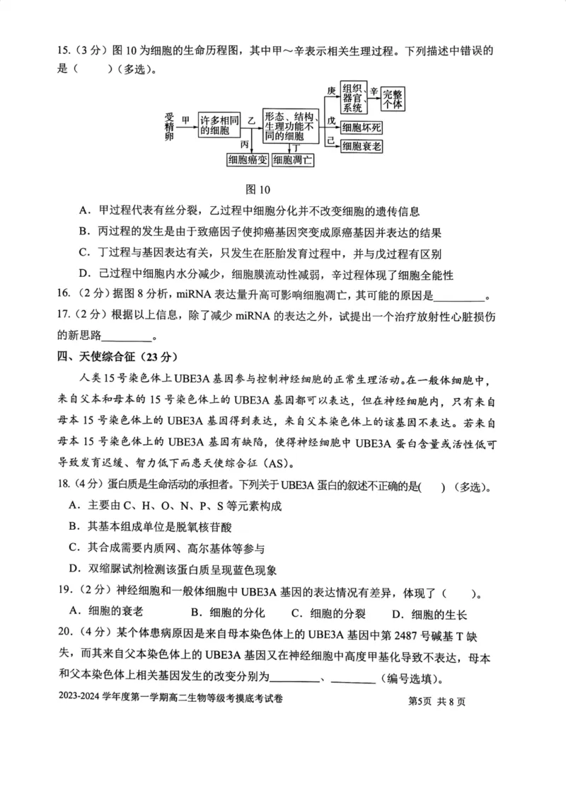 上海市某校2023-2024学年高二上学期摸底考试生物试题_0122026上海中考一模二模真题试卷_2026年上海一模_上海1500初中高中试卷_高中_高二_上学期_1：月考
